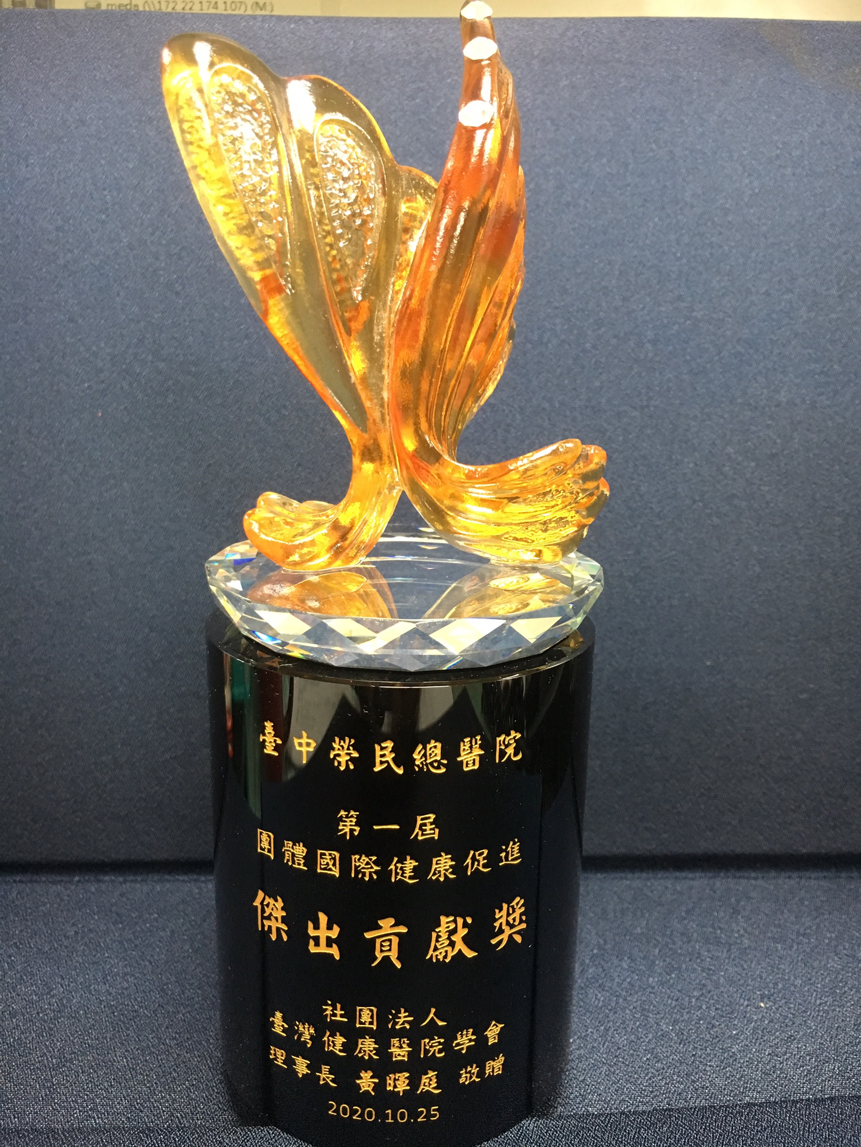 台灣醫院健康協會頒發第一屆團體國際健康促進傑出貢獻獎