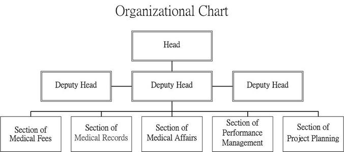 General Hospital Organizational Chart
