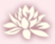 財團法人蓮花基金會