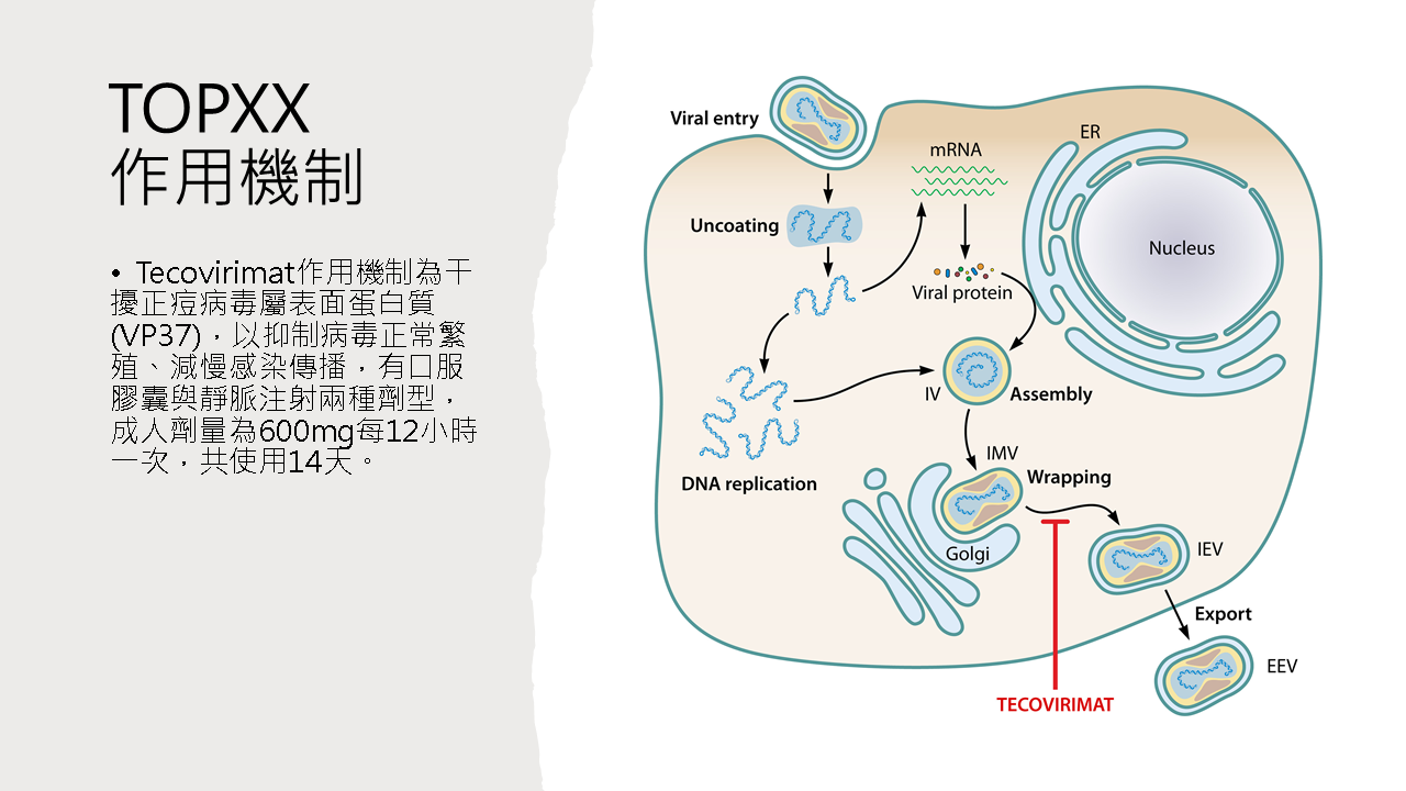 2024流感新冠猴痘治療