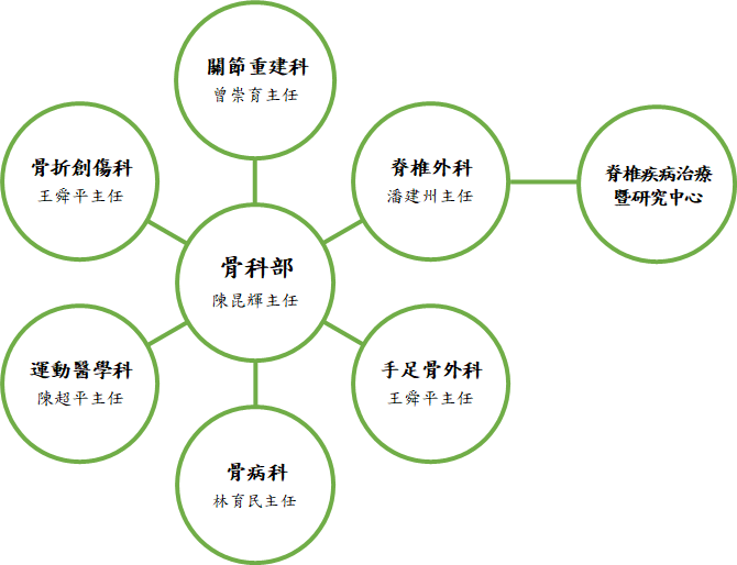 骨科部組織圖