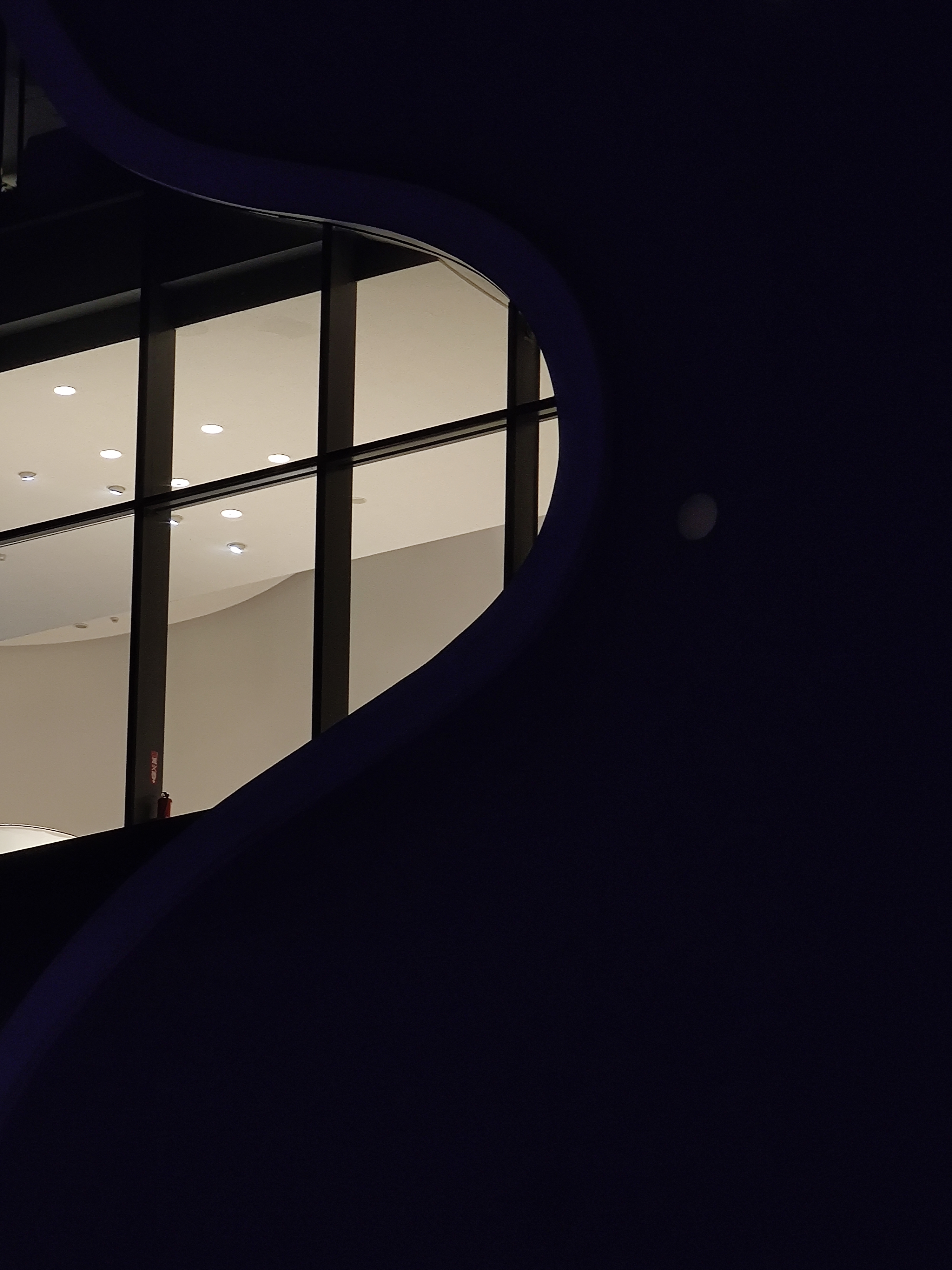 曲直黑白自有道