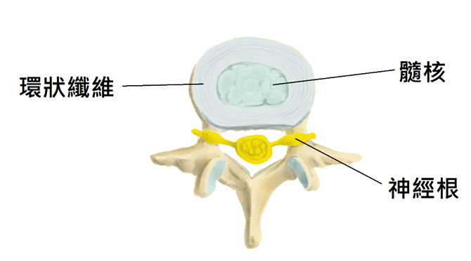 HIVD-1