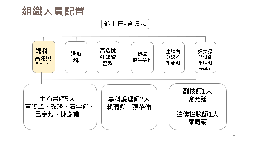 婦科組織圖