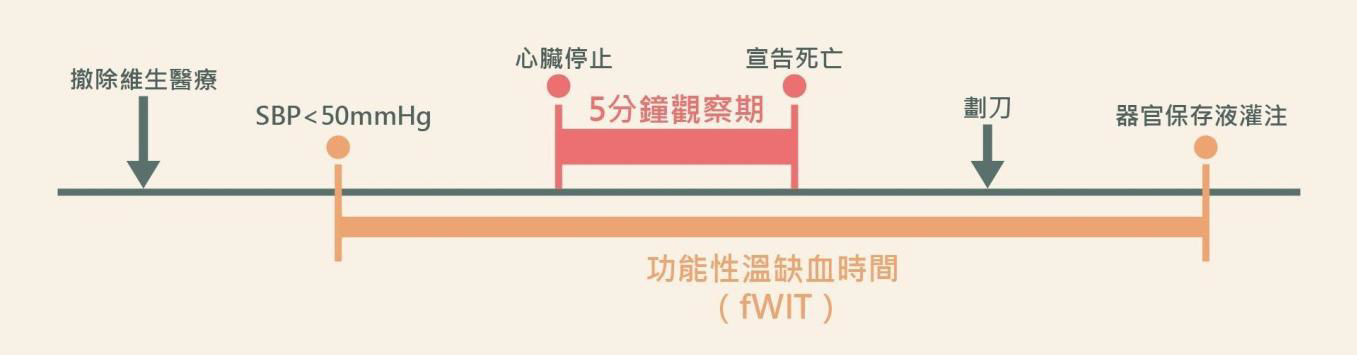 功能性溫缺血時間軸