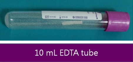 ​​​​​​10 mL