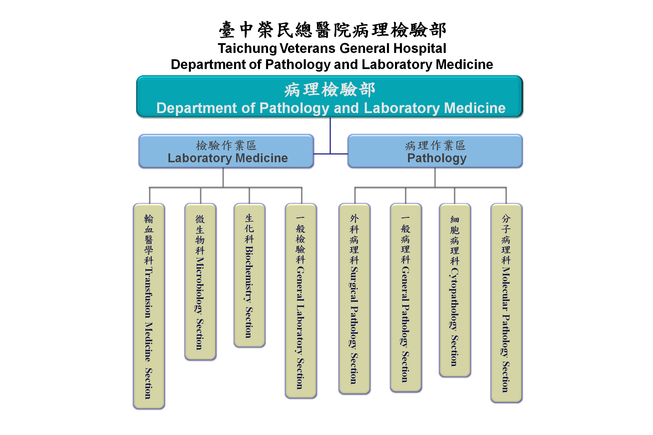 病理檢驗部