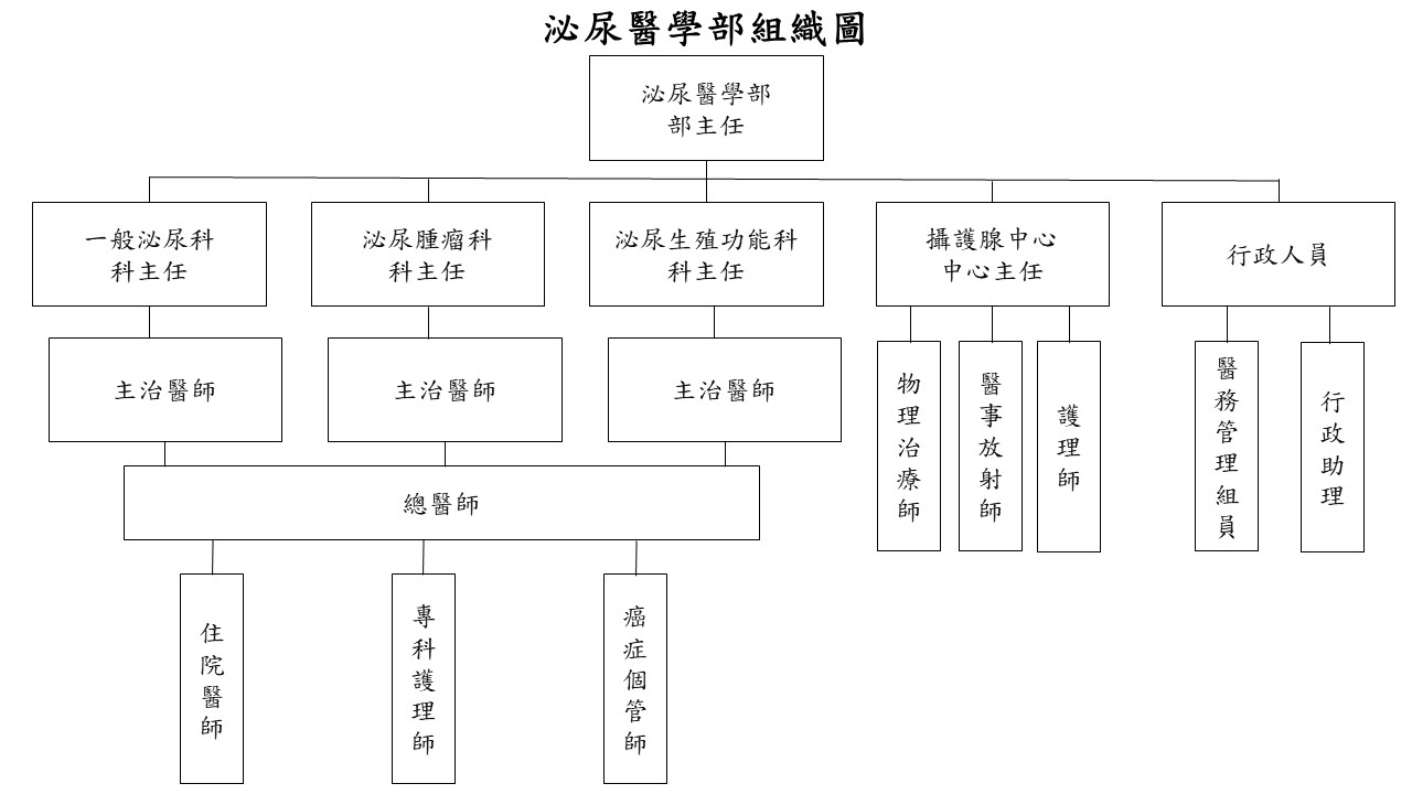 組織圖