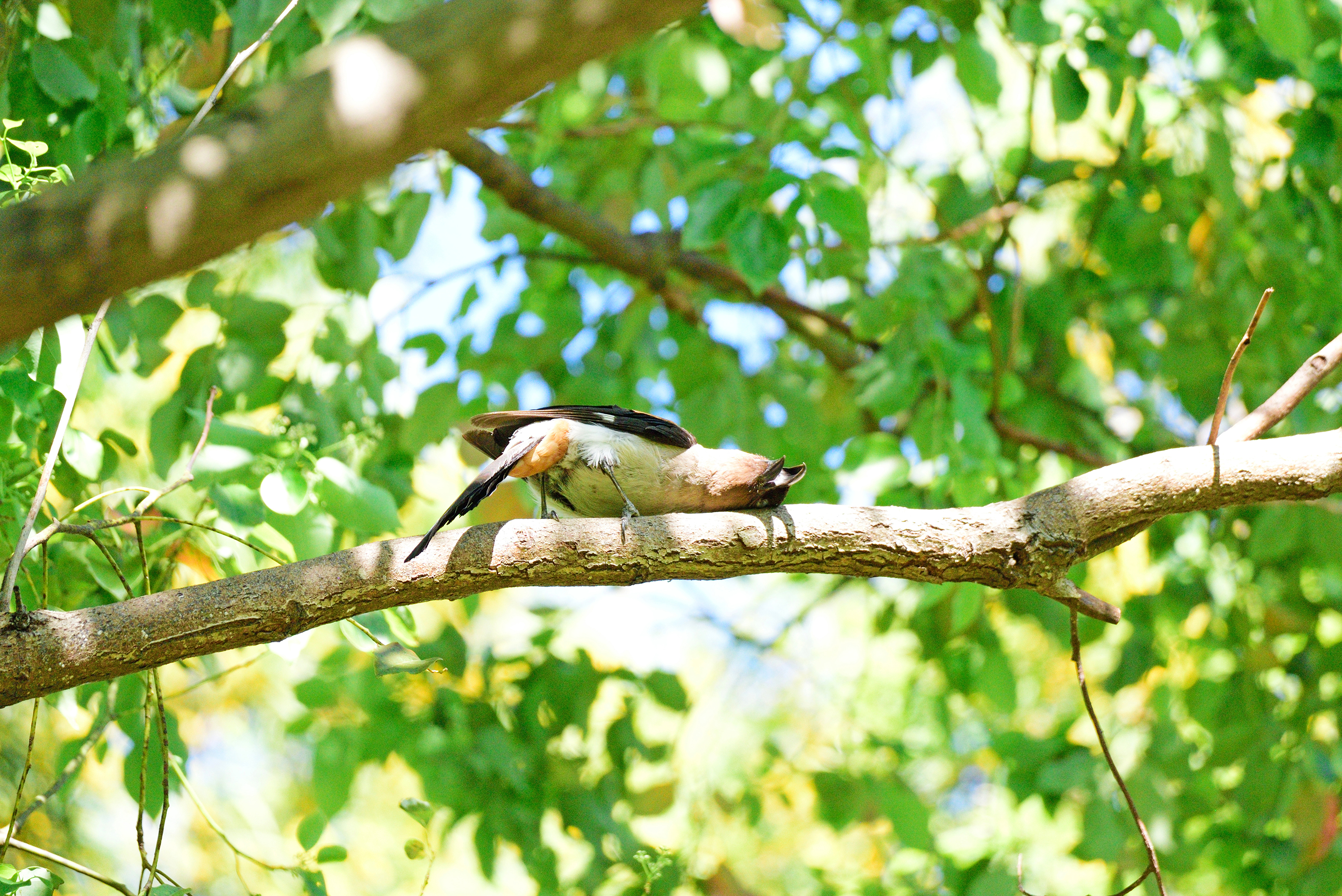 對對對...就是這裏！