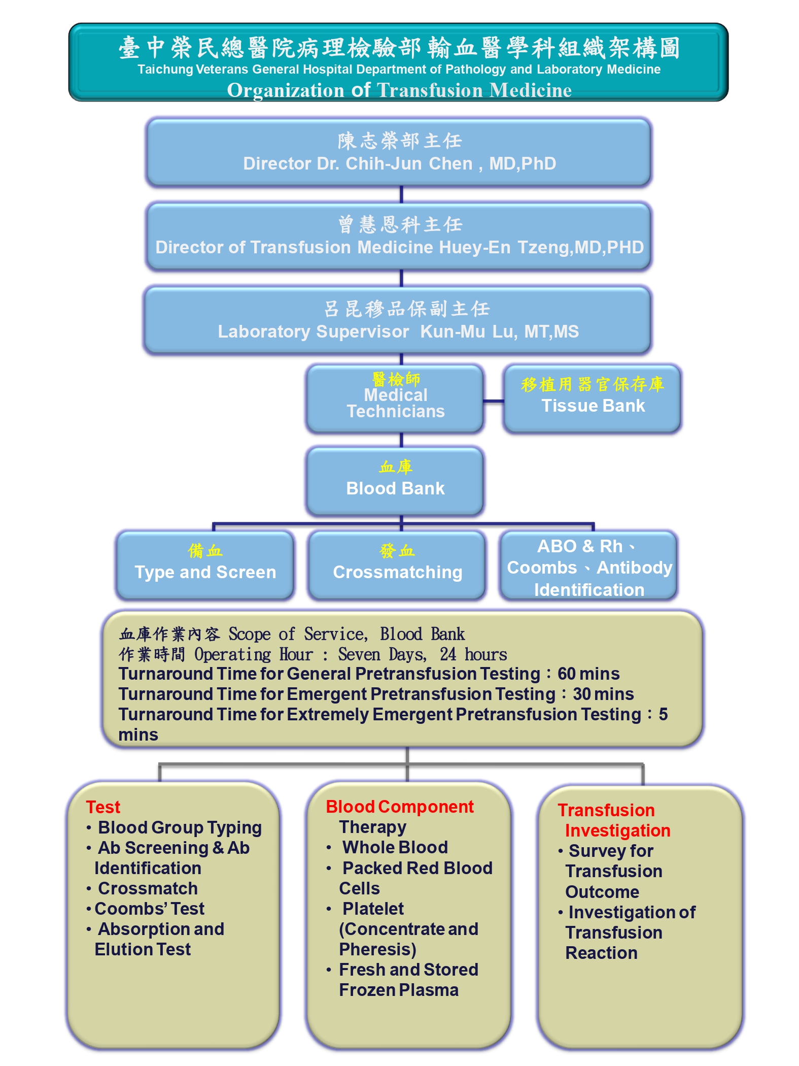 231117輸血醫學科組織及作業內容圖
