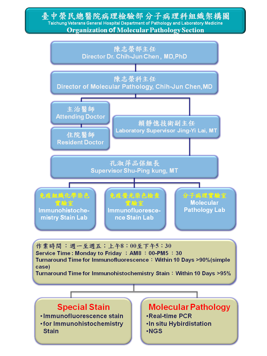 分子病理