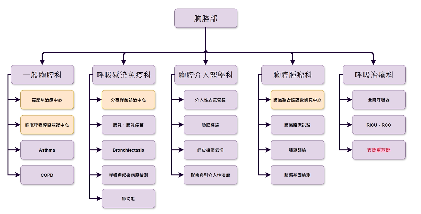 組織圖