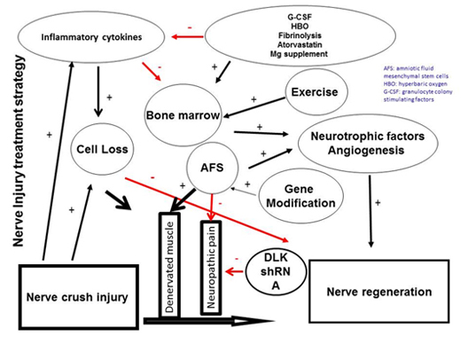 Fig-2