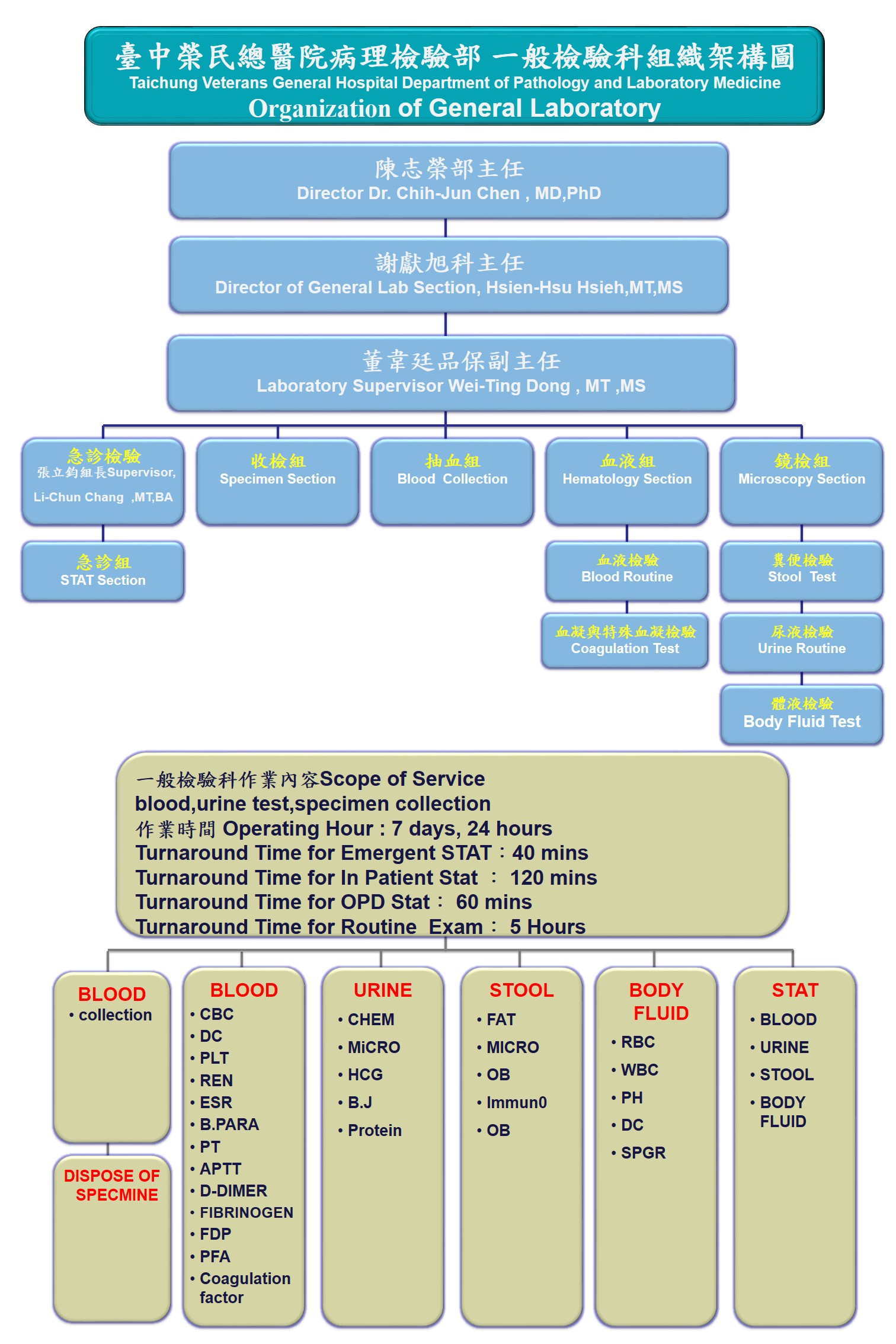 250901一般檢驗科組織及作業內容圖