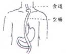 空腸移植重建術