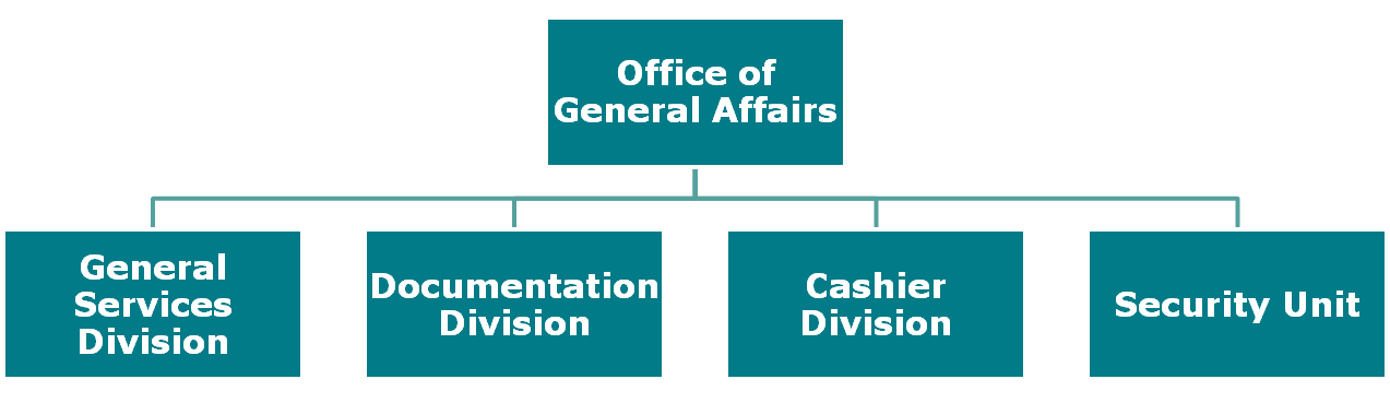 Organization Structure