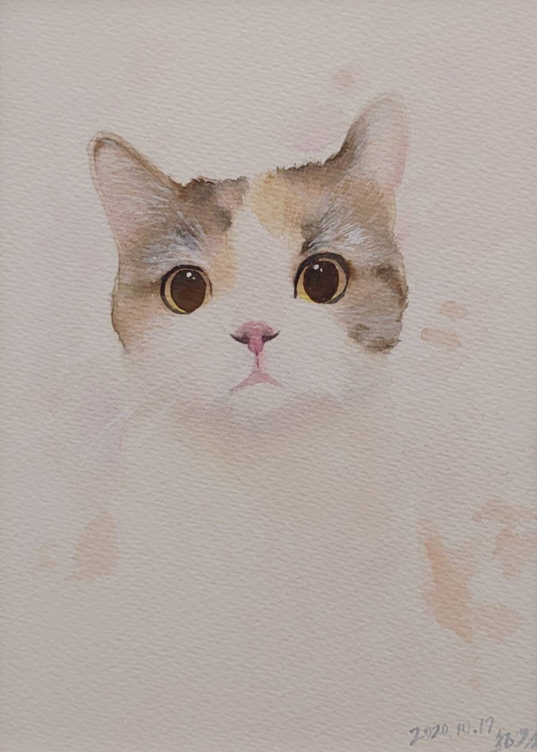 水彩課：台北的小貓