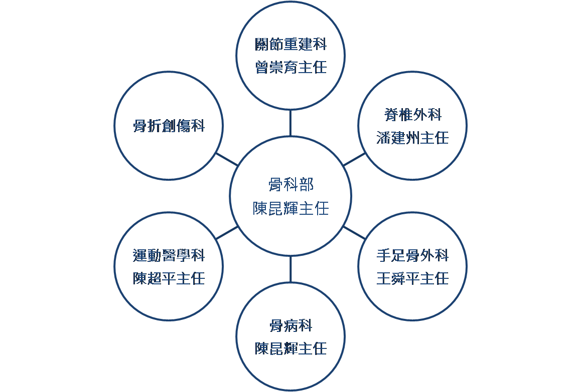 骨科部組織圖