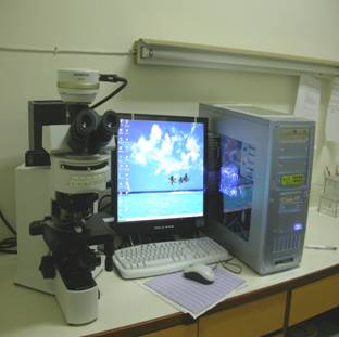 螢光顯微鏡及照相設備示意圖