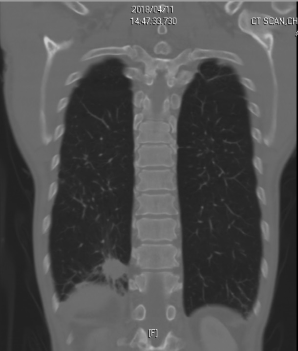 case presentation figure 2-1