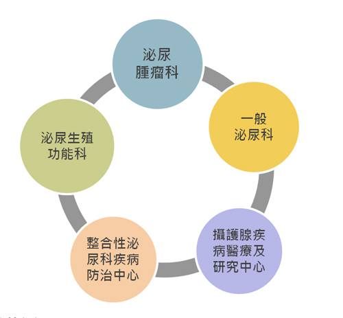 次專科