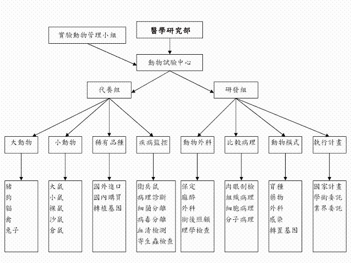 組織架構