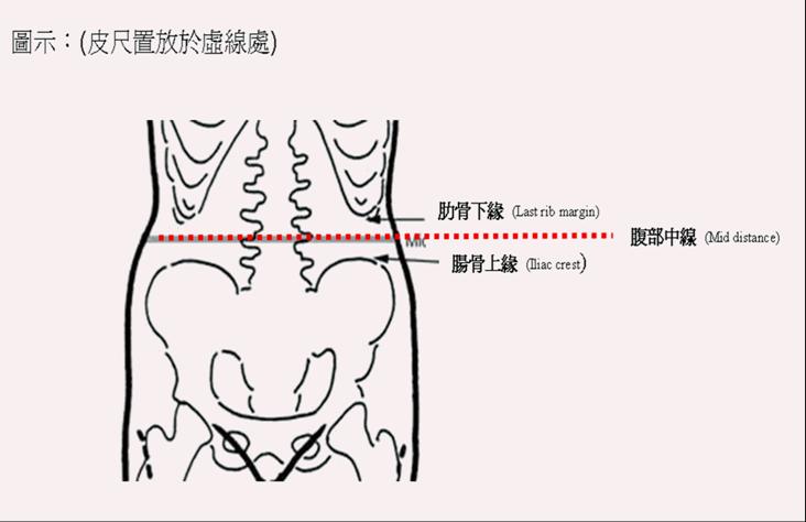 成人腰圍測量及判讀之方法 - 衛生署國民健康局「國健成字第0940600509號公告」